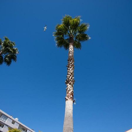 Le Parc Pointe Croisette Apartment Cannes Bagian luar foto